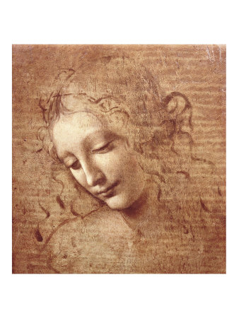 Female Head (La Scapigliata), c.1508