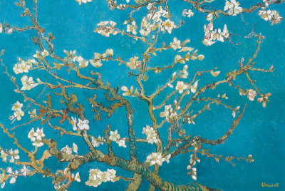 Almond Branches in Bloom, San Remy, c.1890