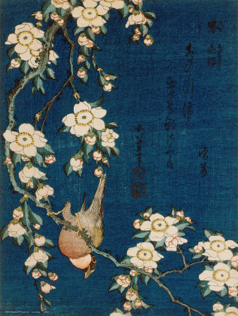 Goldfinch and Cherry Tree, c.1834