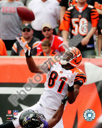 Terrell Owens 2010 Action