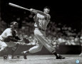 Ted Williams