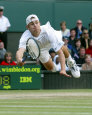 Andy Roddick