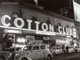 Cotton Club