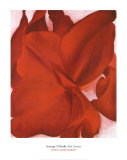Red Cannas by Georgia O'Keeffe