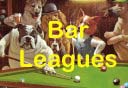 Ace's Pool Leagues