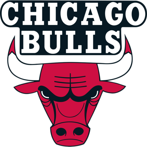 Chicago Bulls Logo