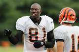 Terrell Owens of the Bengals